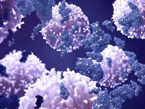 Peptide-drug conjugates