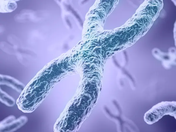 Chromosomal aberrations