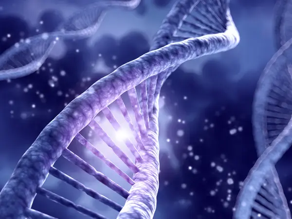 MM-related mutations