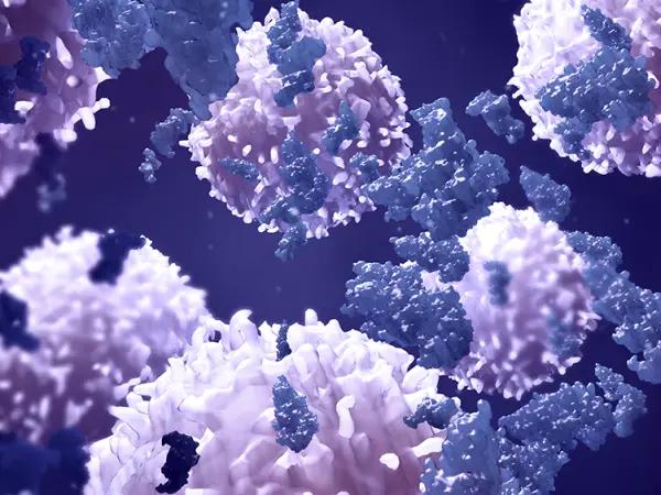 Peptide-drug conjugates