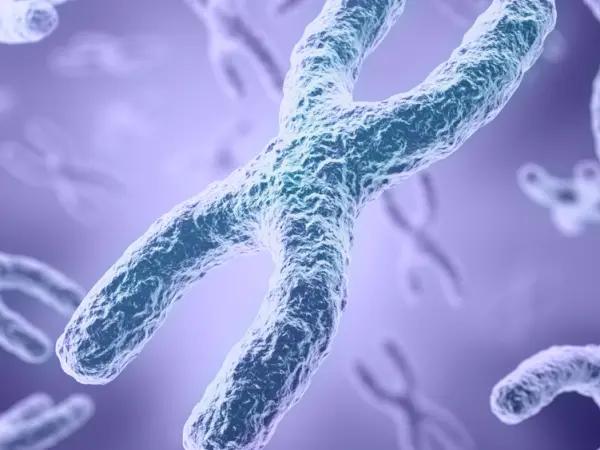 Chromosomal aberrations