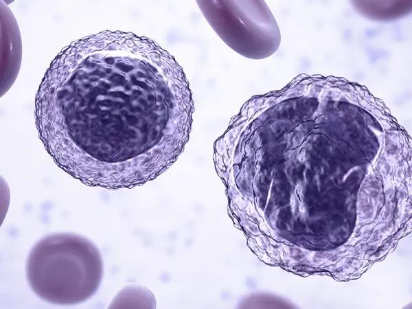 Nuclear export inhibitors