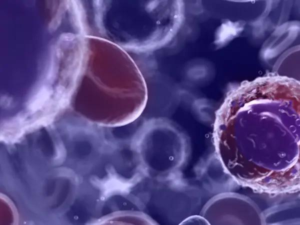 Checkpoint inhibitors